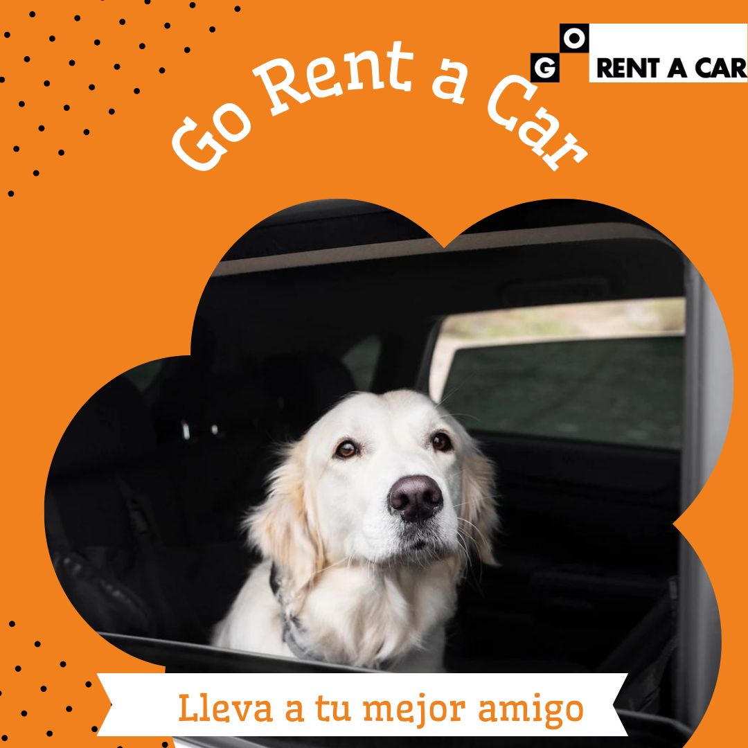 mascotas go rent a car